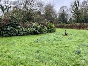 Photo 43- click for photo gallery